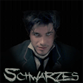 [LS] Schwarzes* Logo