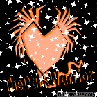 [*V*G*]Marc Logo