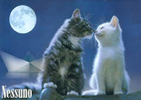 Nessuno Logo Nessuno Logo