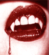 Nera Logo