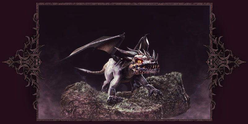 Giovane DRago Nero Giovane DRago Nero