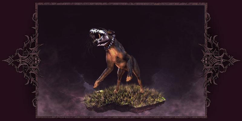 Cane Bionico Cane Bionico