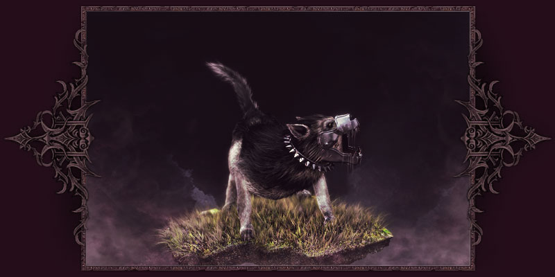 Cane Lupo Bionico Cane Lupo Bionico